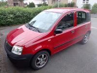 Fiat Panda 1.1 Baujahr 12/2008 ❌ TÜV 05/26 ❌ Nordrhein-Westfalen - Paderborn Vorschau