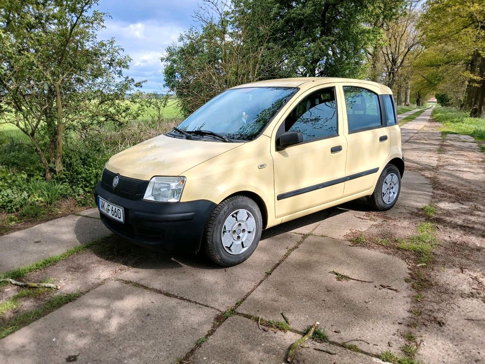 Fiat Panda bj 09 top Zuverlässiges Alltagsauto in Wittstock/Dosse