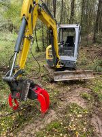 Energieholzernte Baumschere Fällgreifer Rodung Waldrandpflege Bayern - Ergoldsbach Vorschau