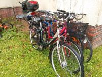 Fahrräder 4 Stück Hessen - Bischofsheim Vorschau