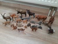 Schleich Raritäten Bengalkatze Luchs Grizzly Steinbock Gazelle Baden-Württemberg - Gaggenau Vorschau