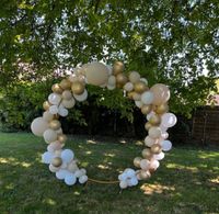 Ballonbogen zum vermieten Niedersachsen - Hildesheim Vorschau