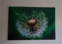 Glasbild - Pusteblume im Wind - 100x70 cm Nordrhein-Westfalen - Detmold Vorschau