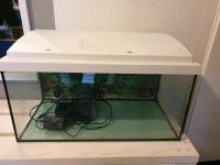 54L Aquarium Blumenthal - Farge Vorschau