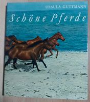 Ursula Guttmann - Schöne Pferde Rheinland-Pfalz - Woldert Vorschau