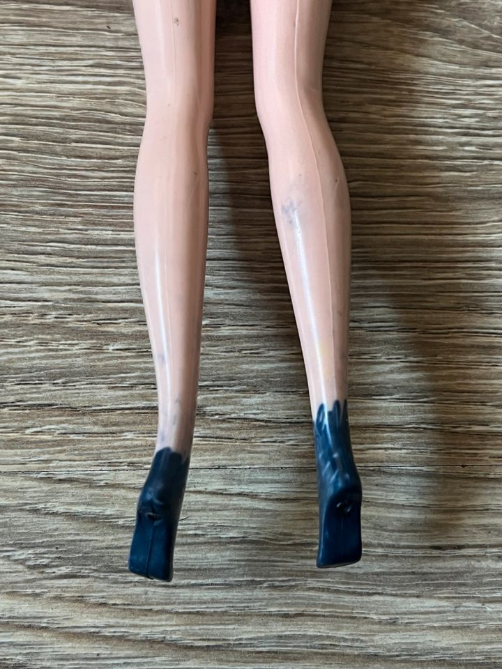 Barbie Princess Collection Meerjungfrau Prinzessin Puppe Zubehor in Memmingen