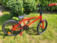 BMX Fahrrad 20 Zoll  rot Kinder/4 Pegs Herzogtum Lauenburg - Mölln Vorschau