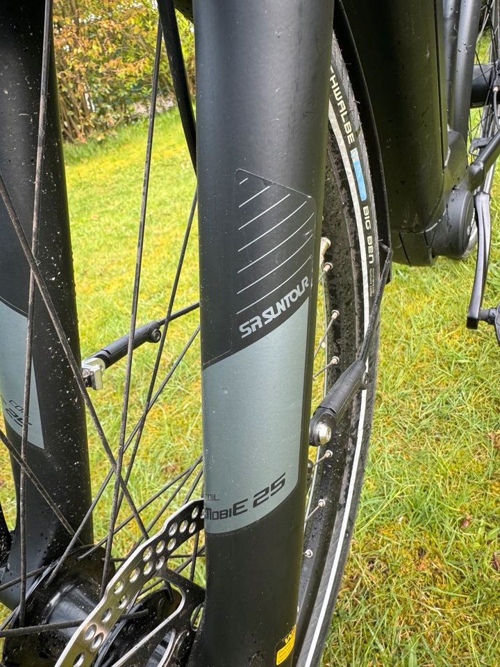 E-Bike Flyer Gotour 6. 28 Zoll in Buchholz in der Nordheide