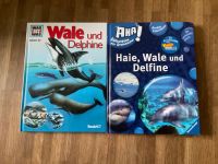 Sachbücher Haie, Wale und Delphine und Wale und Delphine Bundle Neuhausen-Nymphenburg - Neuhausen Vorschau