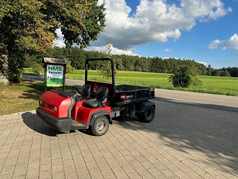 Toro Workman HDX-D 4WD Transportfahrzeug Gator in Weidenbach