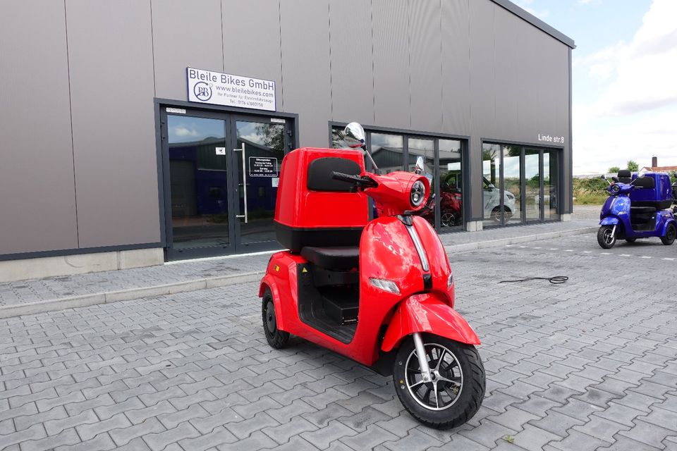 BB-Elektroroller, Lieferwagen,E- Lieferroller, E-Scooter,Blei-Gel in Gochsheim