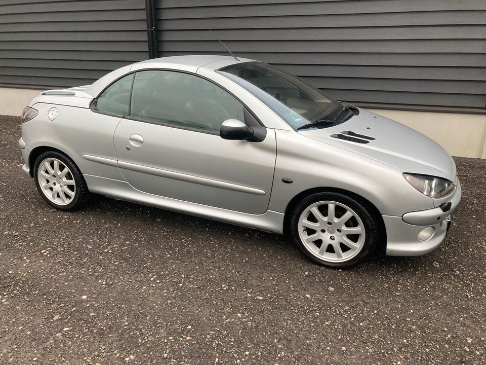 Schlachtfest Peugeot 206 cc in Lage (Dinkel)