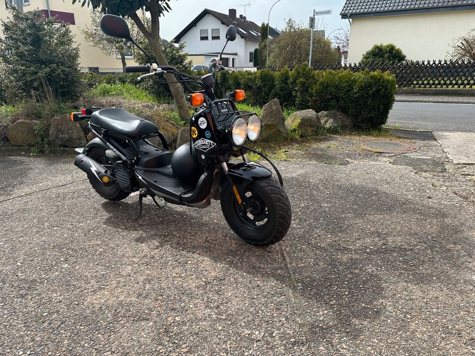 Honda zoomer nps50 in Butzbach