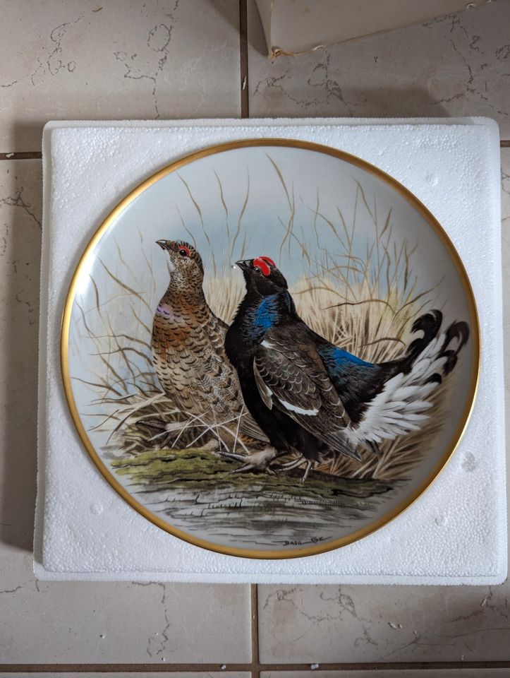 Sammelteller Porzellan Franklin Porcelain Gamebirds of the World in Marschacht