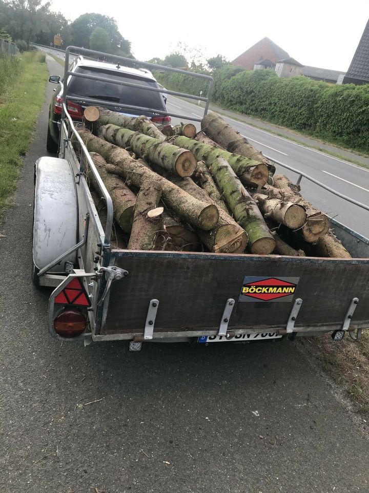 Brennholz Holz Feuerholz Kaminholz in Steinfurt