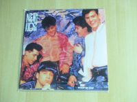 LP von New Kids on the Block - Step by Step 1990 Hessen - Immenhausen Vorschau