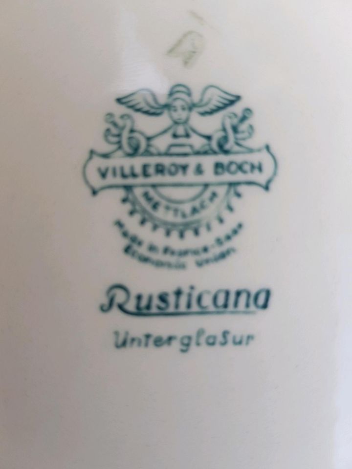 ♦️Rusticana Villeroy und Boch Suppentassen,teller in Wermelskirchen