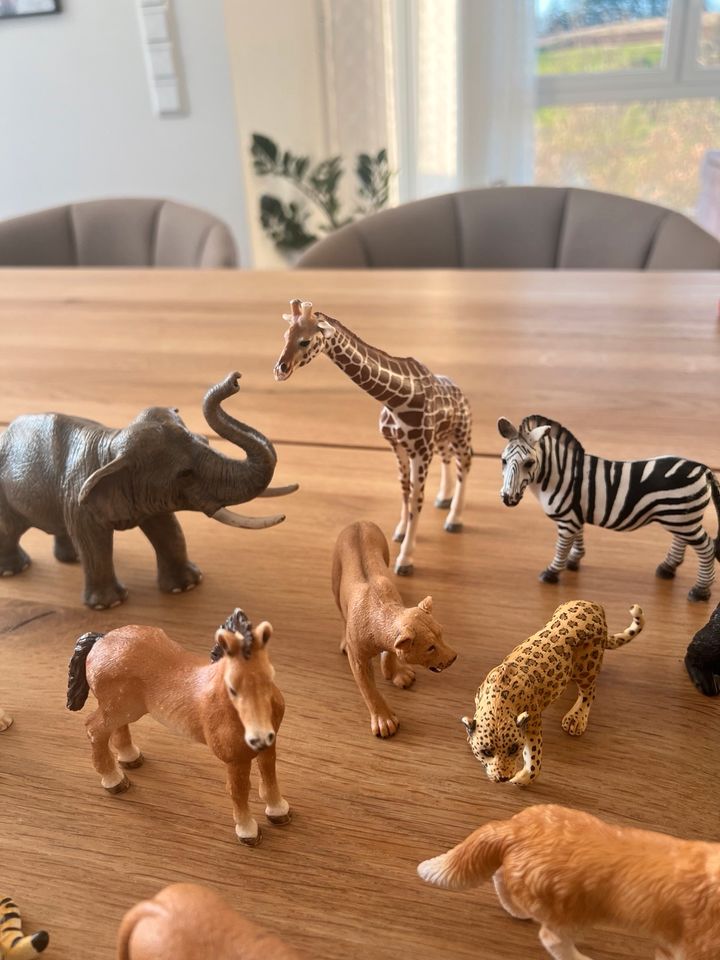 Schleich Tiere Elefant Hund Zebra Giraffe Gorilla Pferd Hase in Aßlar