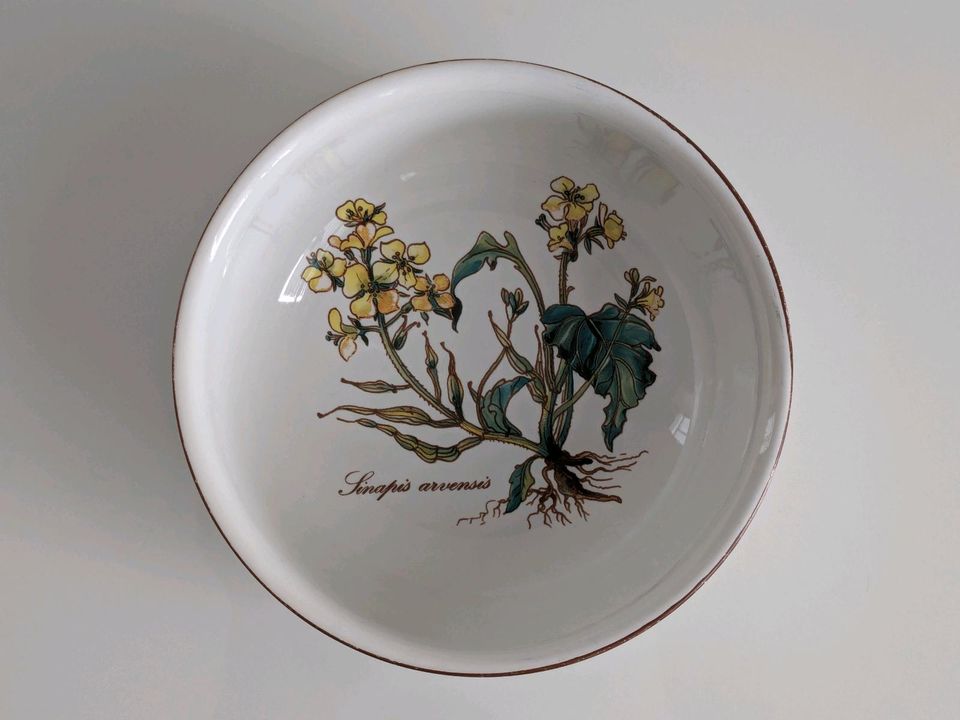 Schüssel [13cm] (Botanica) - Villeroy & Boch in Altenberg Sachs