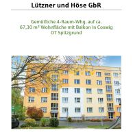 modernisierte 4-Raum-Wohnung zur Vermietung ab 01.08.2024 Sachsen - Coswig Vorschau