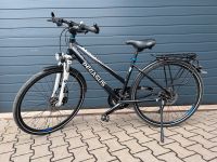 Trekkingrad Pegasus Tecaro 28 Zoll, Damenfahrrad Bayern - Breitenbrunn i.d. Oberpfalz Vorschau