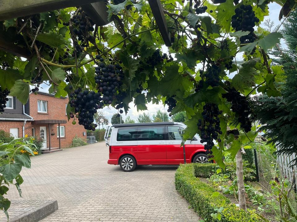 Ferienwohnungen in der Nähe der Sport- und Kongresshalle Schwerin, verschiedene Größen, Parkplätze auf dem Hof in Schwerin