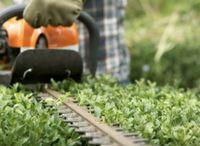 ++Hecke schneiden, Bäume fällen,Rasen mähen,Grünpflege++ Baden-Württemberg - Weinstadt Vorschau