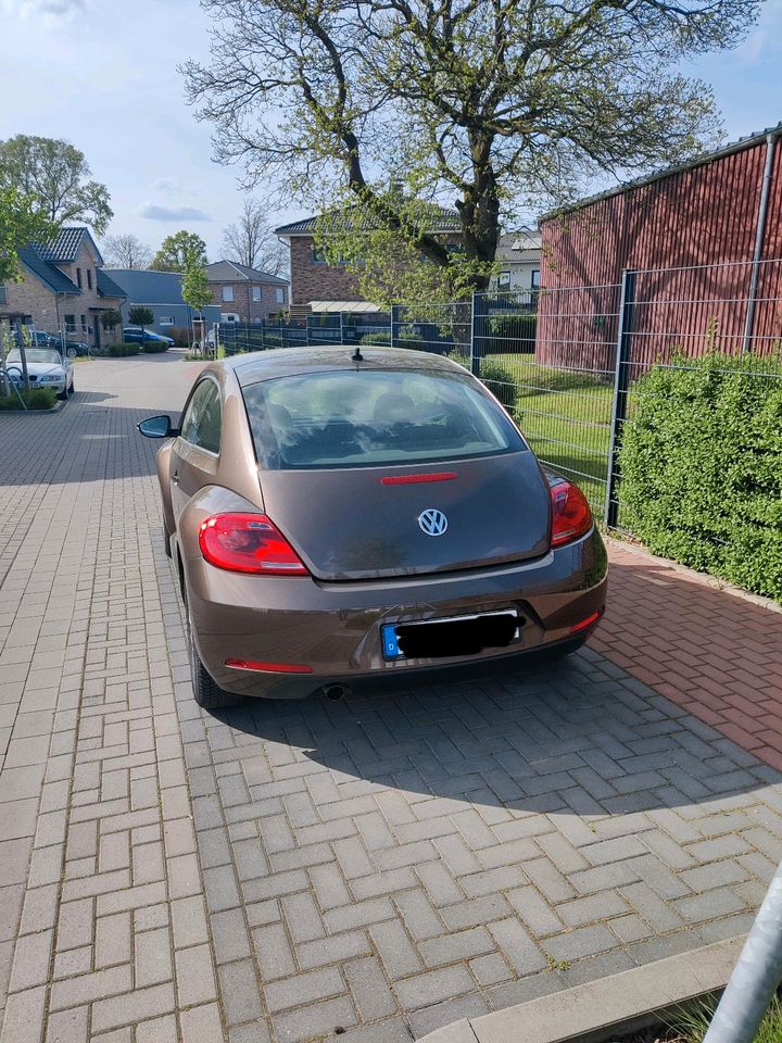 VW Beetle 1.6 TDI DSG Automatik in Rheinberg