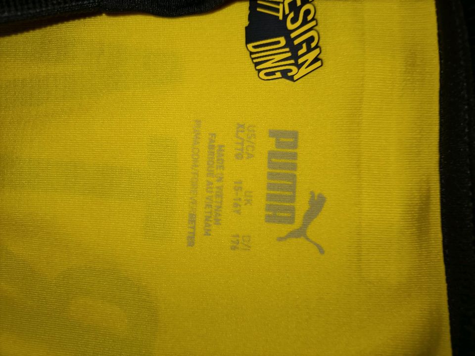 BVB/Borussia Dortmund Trikot in Rhede