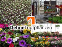 Aushilfen (m/w/d) gesucht Niedersachsen - Wiesmoor Vorschau