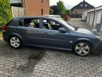 Opel Signum in Grau-Blau (Metro) Duisburg - Homberg/Ruhrort/Baerl Vorschau