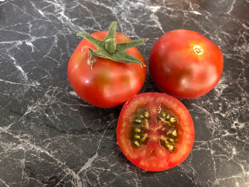 Tomatenpflanzen Tomaten verschiedene Sorten in Lichtenau