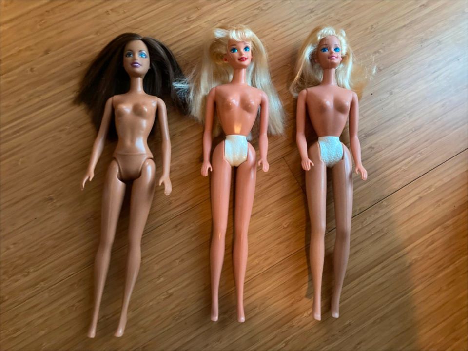 Viele verschiedene Barbies in Bernried Niederbay