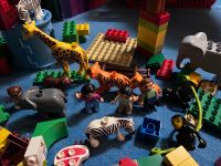 LEGO Duplo Ville 5634 - Zoo Starter Set nicht komplett Baden-Württemberg - Mannheim Vorschau