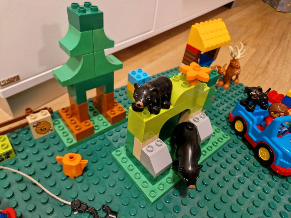 Lego Duplo WildPark / Tiere Set in Gladbeck