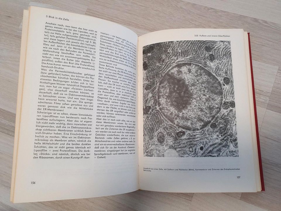 Knaurs Buch der modernen Biologie 1967 alt Antiquität in Essen