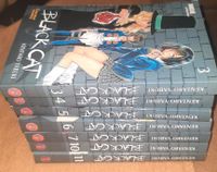 Manga Black Cat Bände 3, 4, 5, 6, 7, 10 und 11 von Kentaro Yabuki Bayern - Münchberg Vorschau