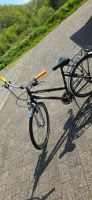 Winora Fahrrad Kettenschaltung 28Zoll | Neuer Lenker+Griff Schleswig-Holstein - Schleswig Vorschau