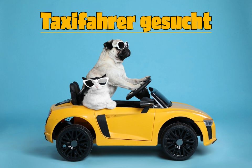 Quereinsteiger | Taxifahrer (m/w/d) in Freiburg im Breisgau in Freiburg im Breisgau