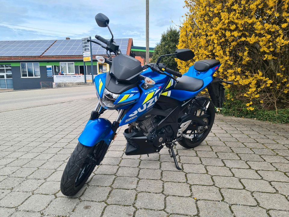 Top Suzuki GSX-S 125 in Buch am Buchrain