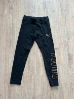 Puma Leggings 152 schwarz Gold top Zustand Bayern - Freilassing Vorschau