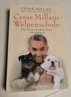 Die ideale Hundeschule von Cesar Millan Berlin - Pankow Vorschau