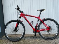 Specialized Rockhopper 29 Zoll Hardtail Mountainbike XL Rheinland-Pfalz - Buchholz (Westerwald) Vorschau