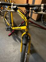 Raleigh MTB, 26 Zoll, MtB , Citybike Niedersachsen - Hildesheim Vorschau