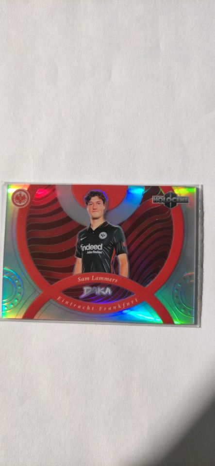 2021 Daka Eintracht Frankfurt Einzelne Cards single cards je 1€ in Hamburg