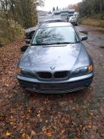 BMW E46 316i Touring Schlachtfest Hessen - Braunfels Vorschau