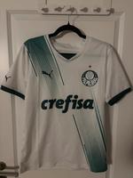 Palmeiras Trikot Hessen - Eichenzell Vorschau
