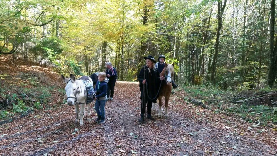 Eseltrekking, Wandern mit Eseln auf dem Crescentia in Baisweil