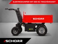 Minidumper 500kg Elektro SCHORR 1000W 48V Elektrodumper Kistenaufbau Motorschubkarre Dumper Elektroschubkarre Schubkarre RR500DEHRB Emsbüren - Ahlde Vorschau