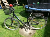 Kreidler Damenfahrrad 28 Zoll. Duisburg - Homberg/Ruhrort/Baerl Vorschau